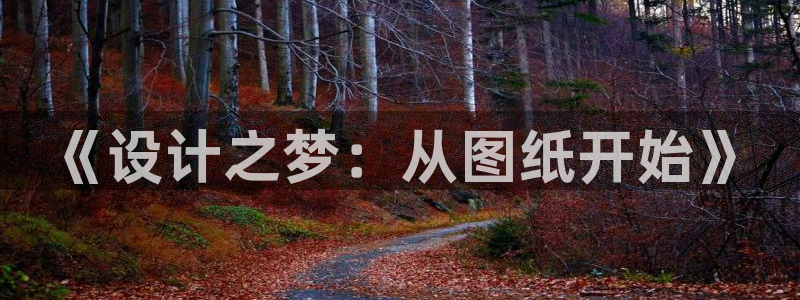 先锋娱乐电子游戏：《设计之梦：从图纸开始》