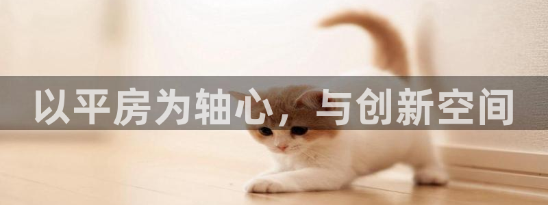 先锋支付娱乐城：以平房为轴心，与创新空间