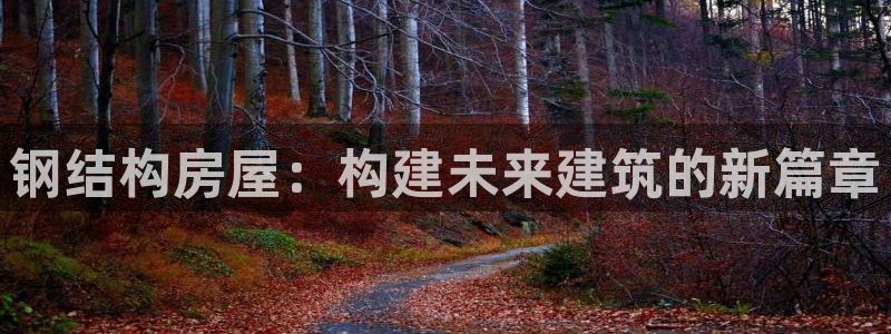亚洲先锋娱乐跌：钢结构房屋：构建未来建筑的新篇章