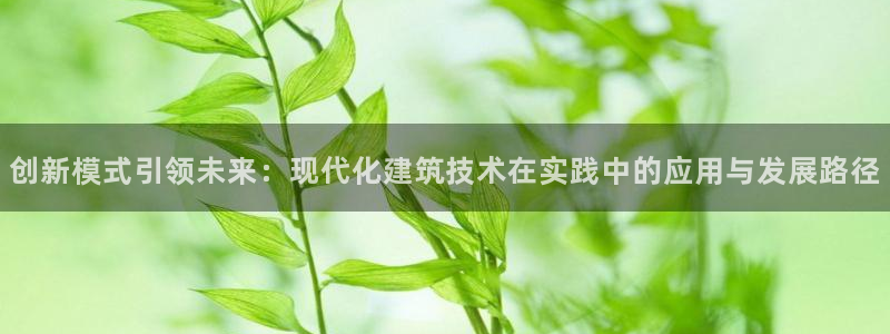 先锋娱乐大厅首页：创新模式引领未来：现代化建筑技术在实践中的应用与发展路径