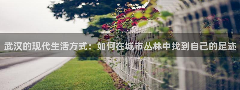 先锋娱乐股票：武汉的现代生活方式：如何在城市丛林中找到自己的足迹