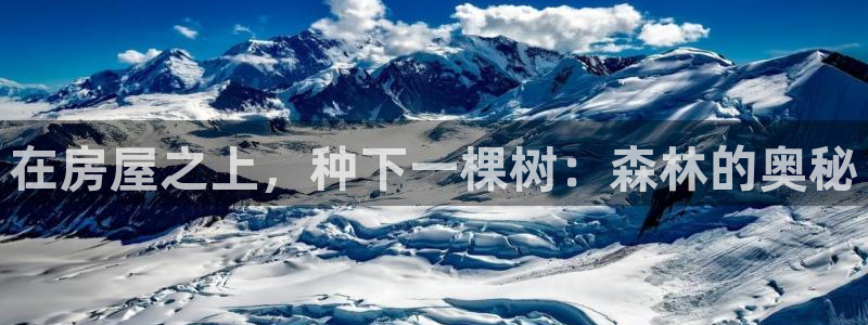 先锋娱乐网67xf：在房屋之上，种下一棵树：森林的奥秘