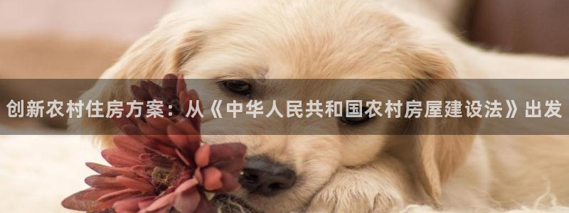 先锋娱乐账号注册不了：创新农村住房方案：从《中华人民共和国农村房屋建设法》出发