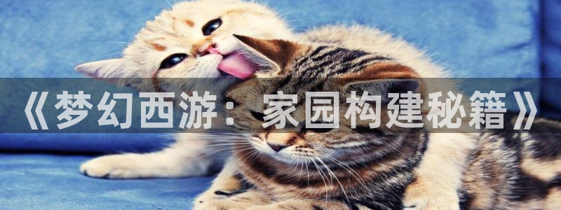 先锋娱乐社：《梦幻西游：家园构建秘籍》