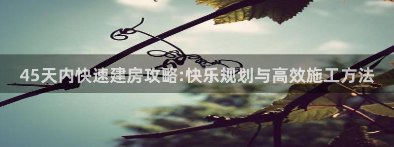 先锋娱乐是不是骗子：45天内快速建房攻略:快乐规划与高效施工方法
