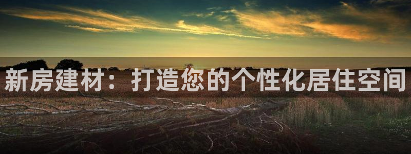 先锋国际娱乐：新房建材：打造您的个性化居住空间