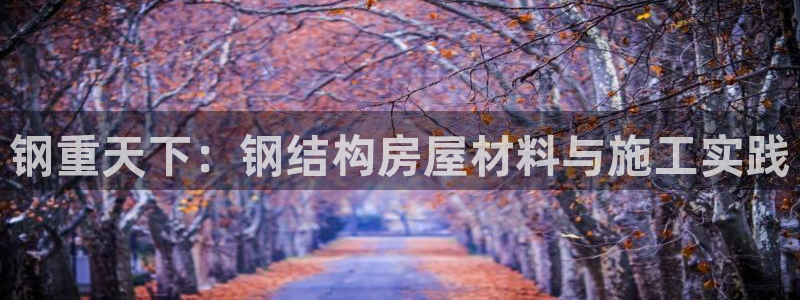 先锋娱乐情报：钢重天下：钢结构房屋材料与施工实践