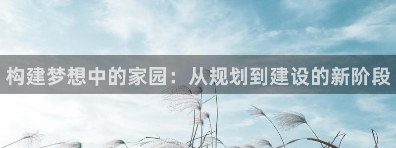 时代先锋娱乐：构建梦想中的家园：从规划到建设的新阶段