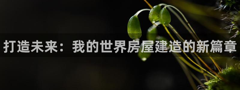 先锋娱乐理财：打造未来：我的世界房屋建造的新篇章