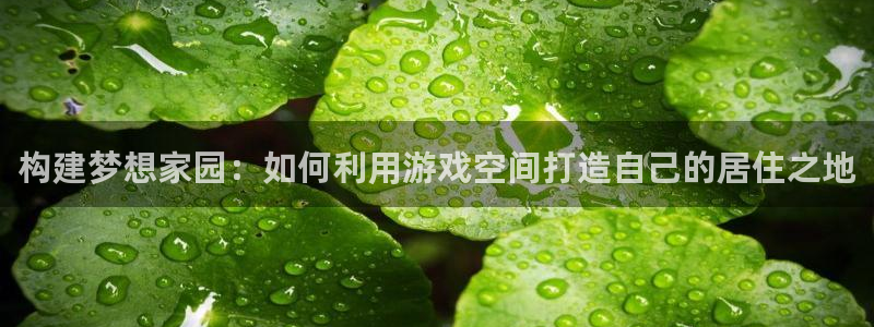 先锋娱乐官：构建梦想家园：如何利用游戏空间打造自己的居住之地