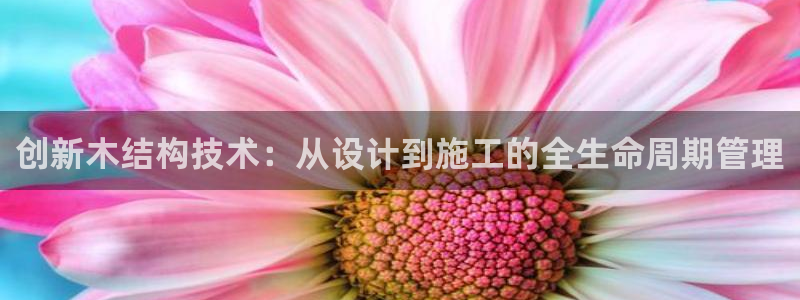 先锋娱乐棋牌：创新木结构技术：从设计到施工的全生命周期管理