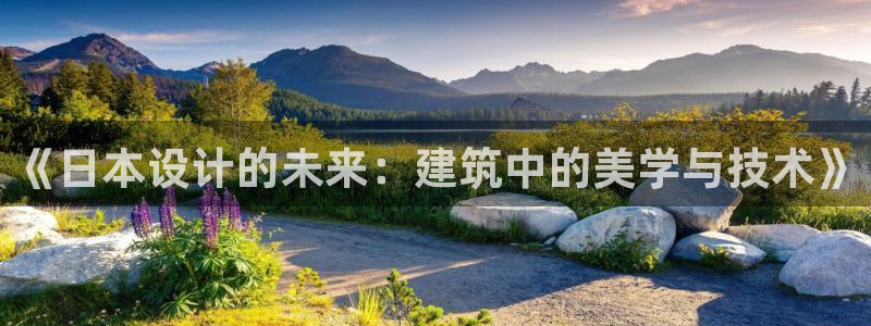 娱乐急先锋全集下载：《日本设计的未来：建筑中的美学与技术》