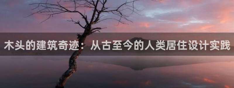 先锋娱乐官