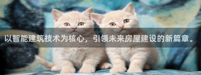先锋互动娱乐