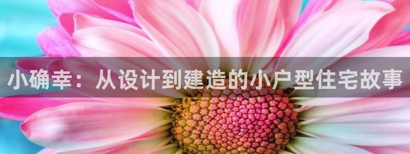 先锋娱乐官方：小确幸：从设计到建造的小户型住宅故事