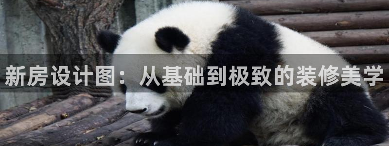 先锋队娱乐：新房设计图：从基础到极致的装修美学