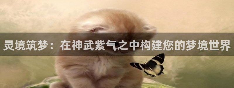 先锋娱乐提现多久到账：灵境筑梦：在神武紫气之中构建您的梦境世界