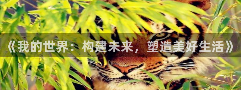 先锋娱乐体育