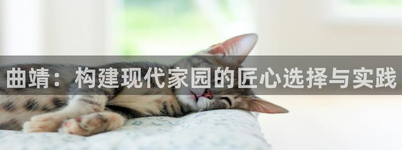 大连先锋娱乐：曲靖：构建现代家园的匠心选择与实践