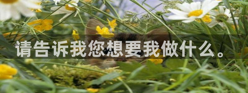 先锋娱乐邀请码多少位啊：请告诉我您想要我做什么。