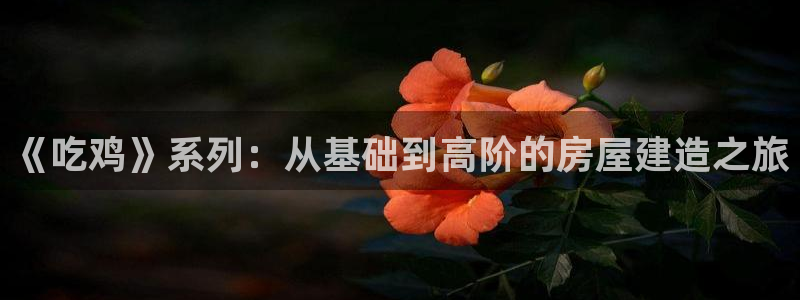 先锋娱乐提现多久到账：《吃鸡》系列：从基础到高阶的房屋建造之旅