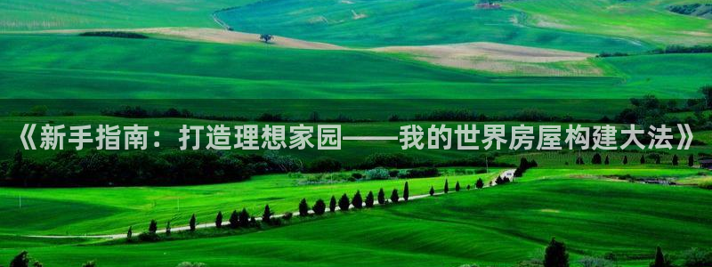 先锋娱乐公司：《新手指南：打造理想家园——我的世界房屋构建大法》