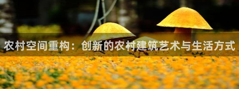 先锋娱乐热点：农村空间重构：创新的农村建筑艺术与生活方式