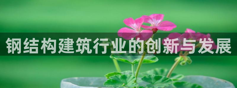 先锋电子车载娱乐系统：钢结构建筑行业的创新与发展