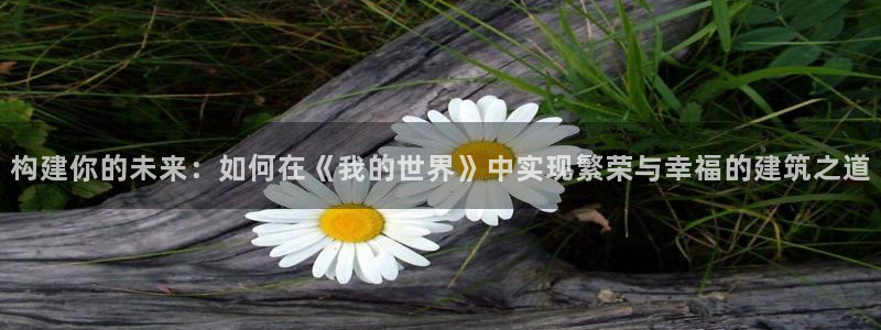 先锋娱乐电子游戏：构建你的未来：如何在《我的世界》中实现繁荣与幸福的建筑之道