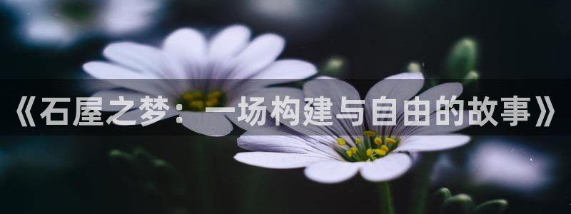 先锋娱乐科技：《石屋之梦：一场构建与自由的故事》
