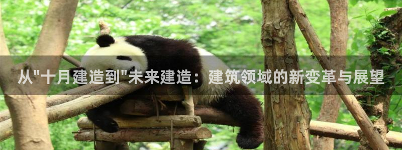 先锋综合娱乐：从\