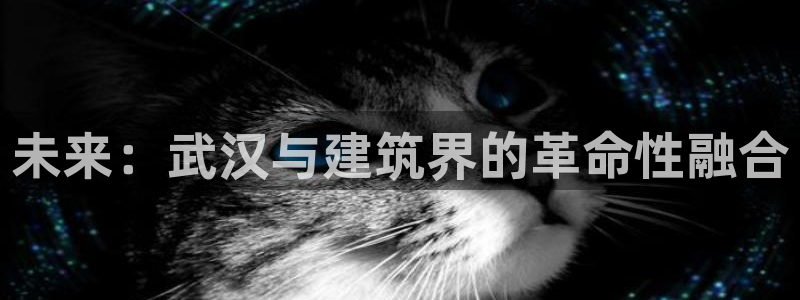 先锋娱乐体育管理集团：未来：武汉与建筑界的革命性融合