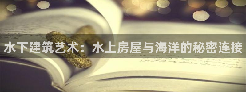 先锋娱乐大厅透视：水下建筑艺术：水上房屋与海洋的秘密连接