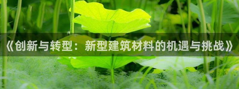 先锋娱乐团：《创新与转型：新型建筑材料的机遇与挑战》