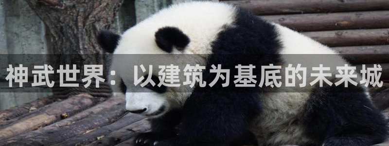 先锋娱乐汇：神武世界：以建筑为基底的未来城