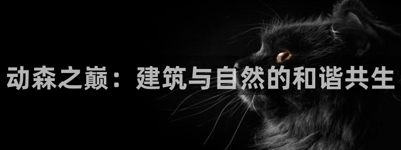 先锋娱乐体育：动森之巅：建筑与自然的和谐共生