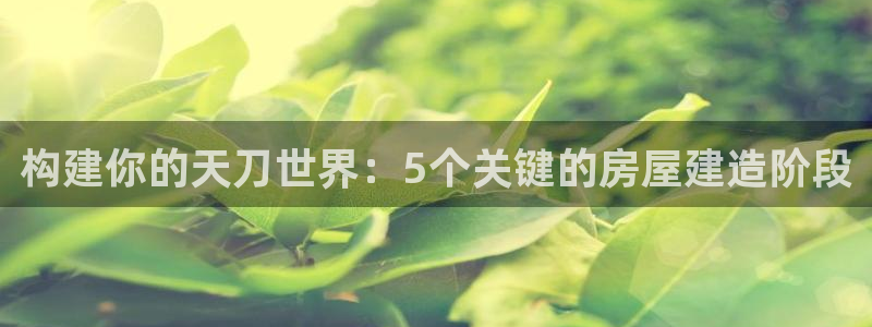 先锋电子旗下先锋娱乐：构建你的天刀世界：5个关键的房屋建造阶段