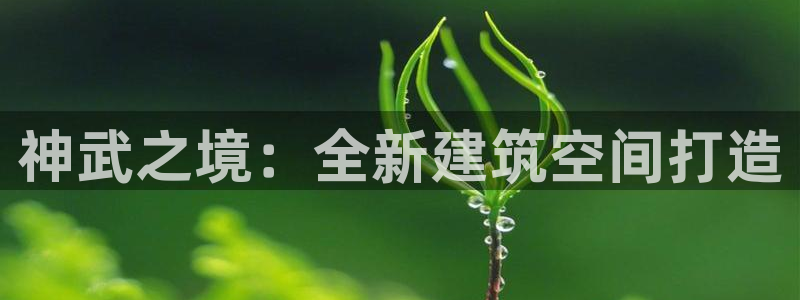 先锋娱乐简介图片：神武之境：全新建筑空间打造