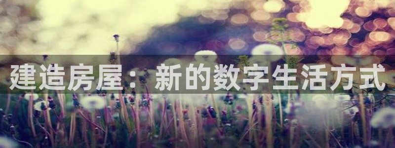 先锋娱乐系统：建造房屋：新的数字生活方式
