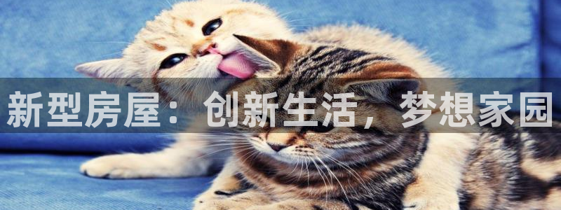 先锋娱乐注册：新型房屋：创新生活，梦想家园