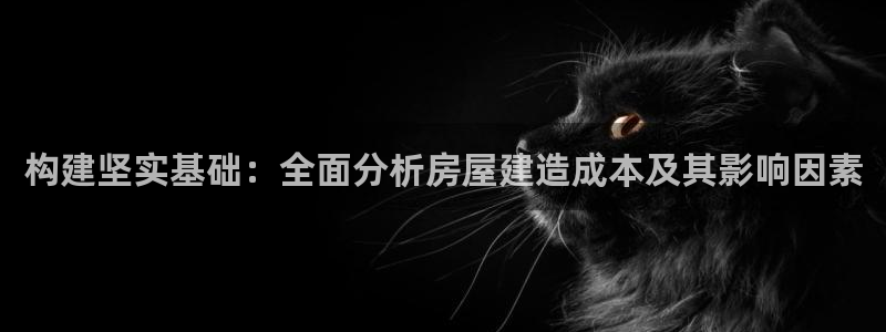 先锋电子车载娱乐系统：构建坚实基础：全面分析房屋建造成本及其影响因素