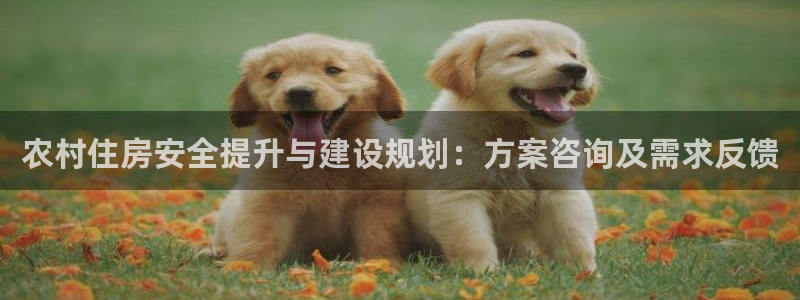 先锋娱乐场所：农村住房安全提升与建设规划：方案咨询及需求反馈