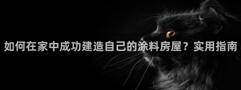 先锋娱乐大厅牛牛：如何在家中成功建造自己的涂料房屋？实用指南