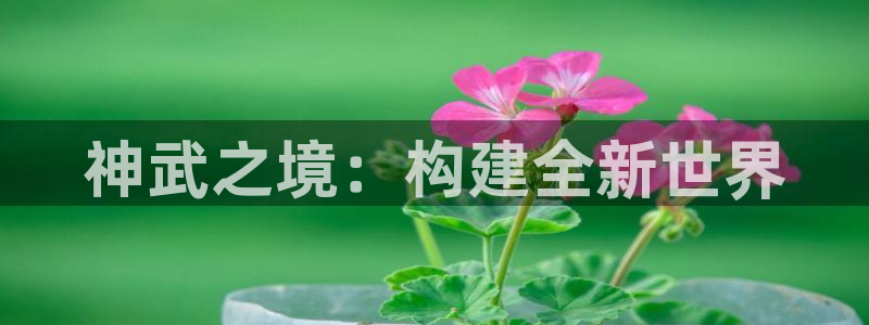 先锋娱乐赛：神武之境：构建全新世界