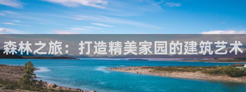 先锋娱乐挂：森林之旅：打造精美家园的建筑艺术