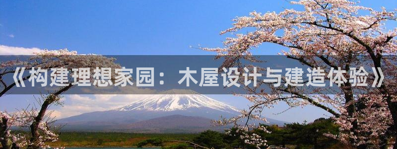 先锋娱乐挂：《构建理想家园：木屋设计与建造体验》
