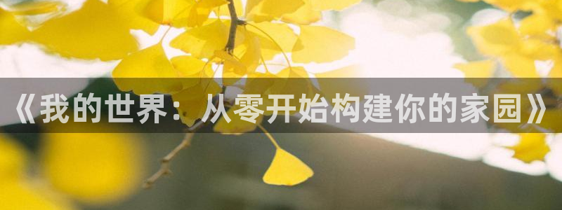 先锋娱乐链接：《我的世界：从零开始构建你的家园》