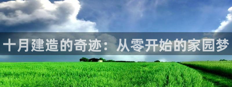 先锋电玩娱乐：十月建造的奇迹：从零开始的家园梦