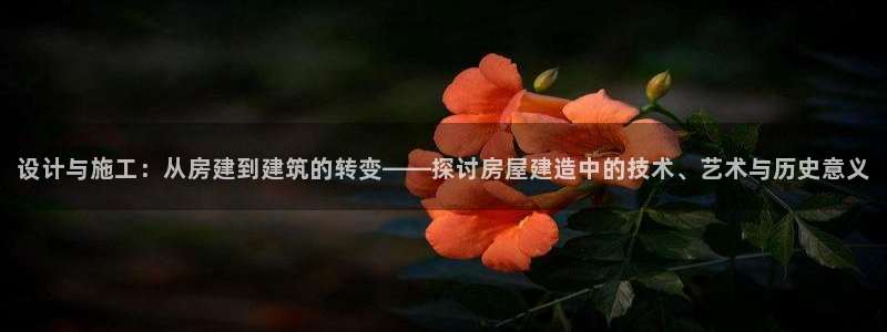 先锋娱乐团：设计与施工：从房建到建筑的转变——探讨房屋建造中的技术、艺术与历史意义