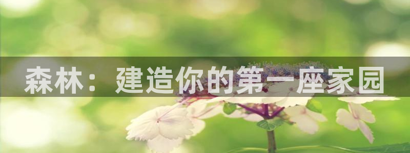 先锋娱乐：森林：建造你的第一座家园